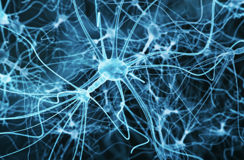 CRANIOSACRAL THERAPY 